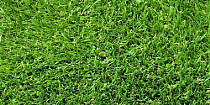 Искусственная трава Topi Grass 25mm Topi Grass 25 New фото 1 | FLOORDEALER